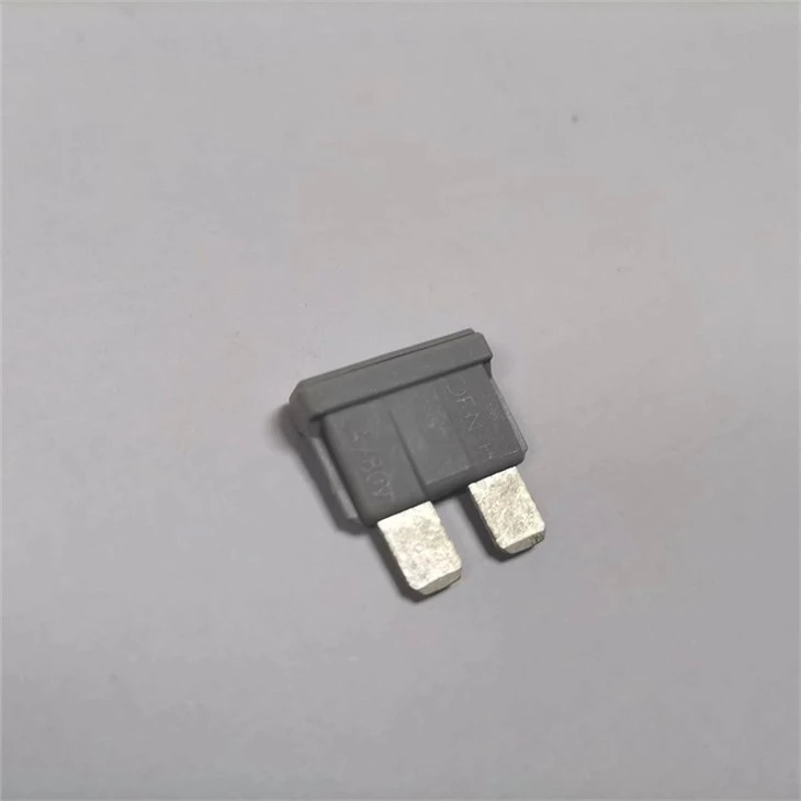 DC80V 2A Dissmann Low Voltage Automotive Fuse Electric Vehicle Fuse Supplier in China